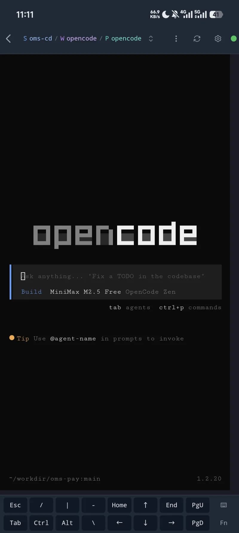 OpenCode 终端界面