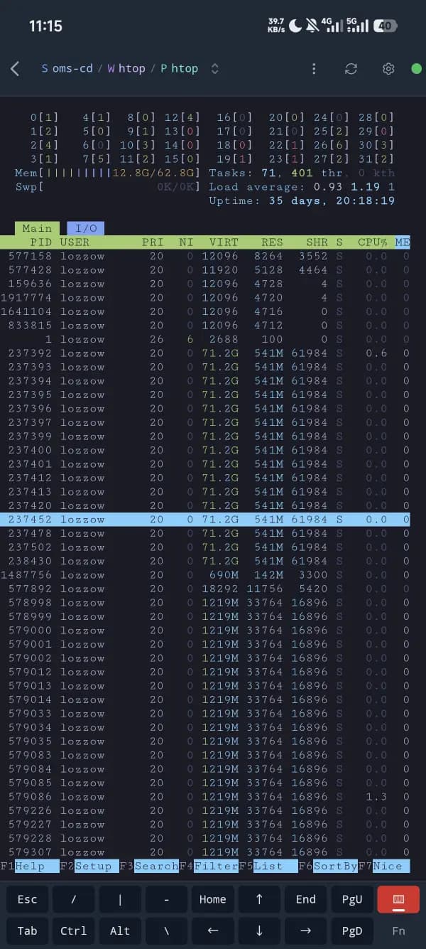 htop 服务器监控