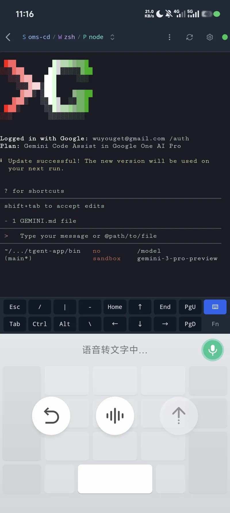 Gemini CLI 语音输入
